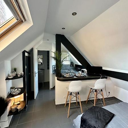 Studio Chaleureux Hypercentre Amiens Eksteriør billede